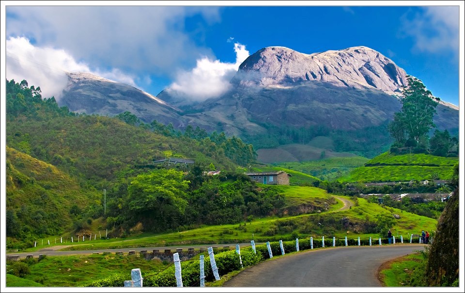 A Scenic Road Trip from Coimbatore to Coonoor